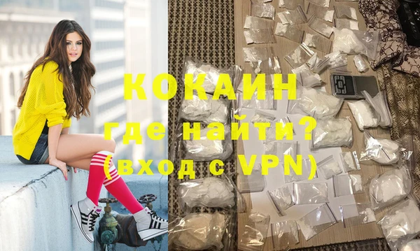 индика Алексеевка
