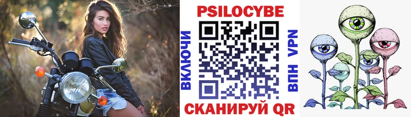 Псилоцибиновые грибы Cubensis Камышин