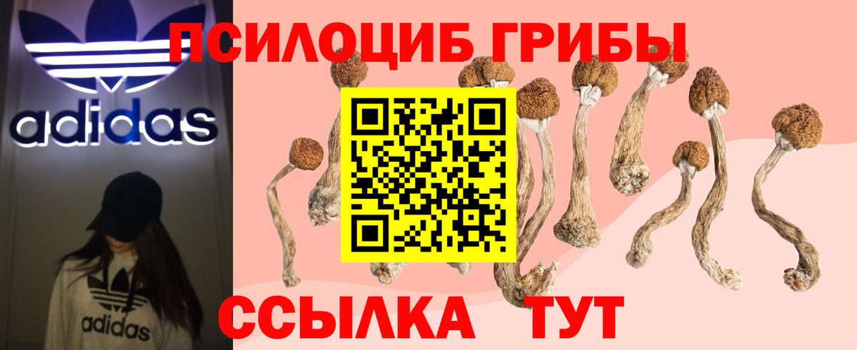 Псилоцибиновые грибы Cubensis  Вход с VPN  Галлюциногенные грибы Psilocybe  Камышин 