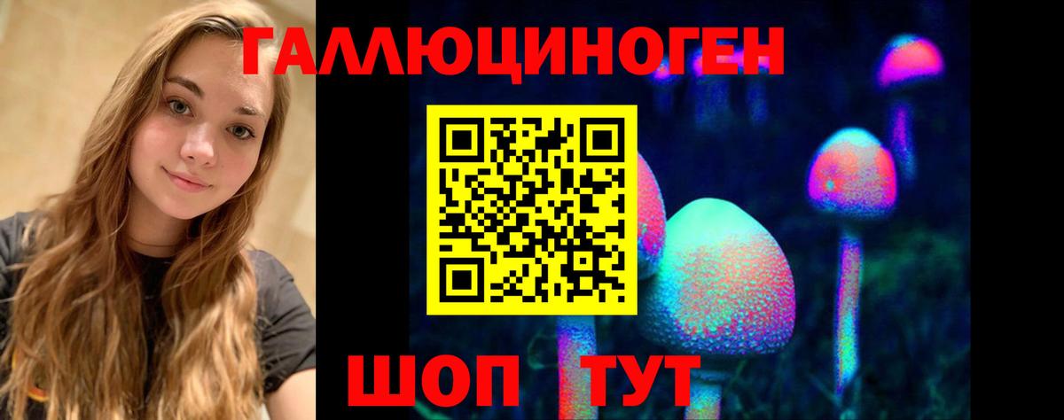 Галлюциногенные грибы GOLDEN TEACHER Камышин