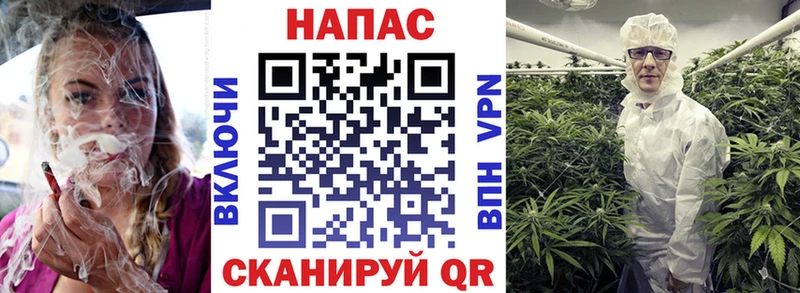 MEGA как зайти  Камышин  МАРИХУАНА план 